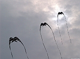 Cervia 2011-153